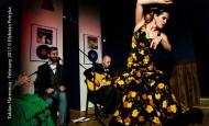 Alejandro Silva Trio – wieczór flamenco w Vertigo! (12.11.17)