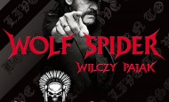 Tribute to Lemmy – Motorhead Party w Starej Piwnicy! (25.03.17)